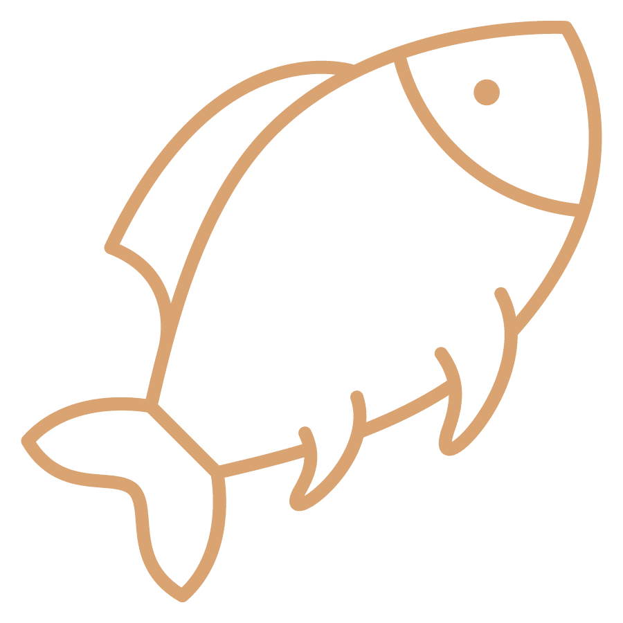 פילה סלמון שלם